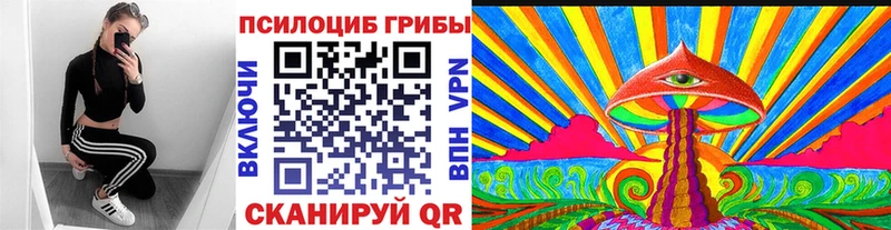 Купить  Тула  Псилоцибиновые грибы Cubensis 
